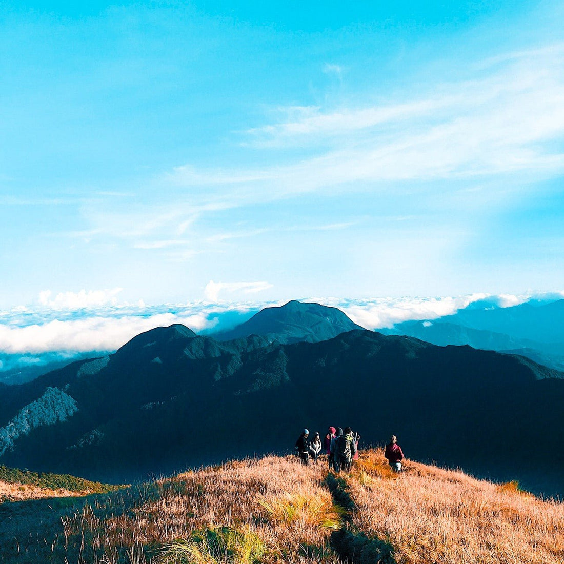 Leave no trace with these camping essentials - GUUD Products