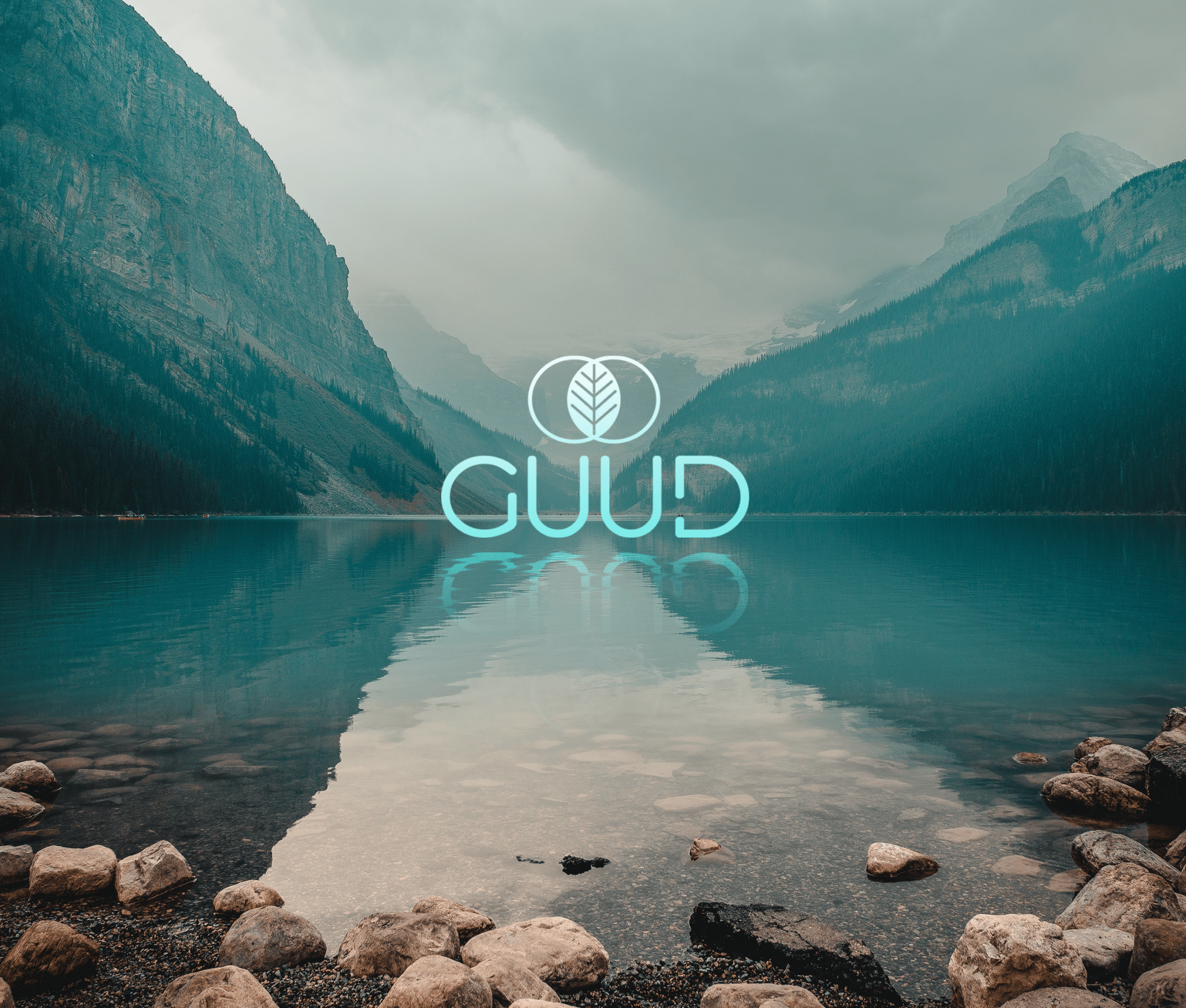 The Beauty of Buying Less Packaging – GUUD Products